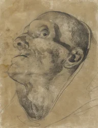 Head of an Upward Looking Man, with Downward Gaze
