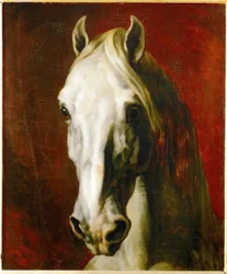 Head of a Grey Horse