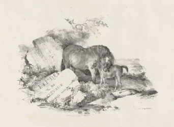 The Mare and Its Colt, Frontispiece