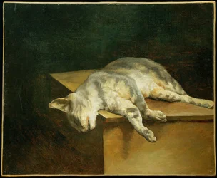 The dead cat