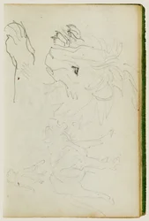 Lion Studies