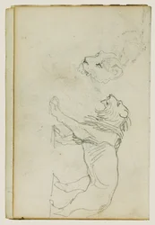 Lion Walking, Head of a Lioness