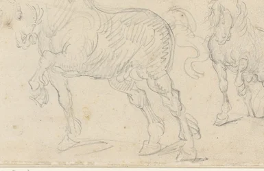 Horse Studies