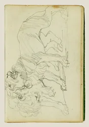 Pair of Lions