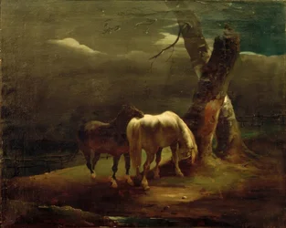 Horses in the Pasture