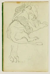 Seated Lion