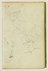 Studies of a Seated Stag, a Fawn, a Goat Head