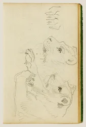 Studies of the Head and Forelegs of a Lioness