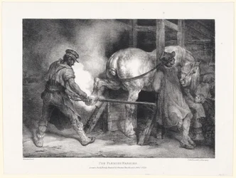 The Flemish Farrier
