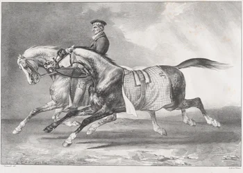 Two Dappled-Grey Horses Being Exercised