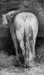 Uncertain, the Horse in the Stable