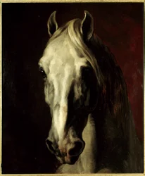 Head of a White Horse. Painting by Théodore Géricault (1791-1824)