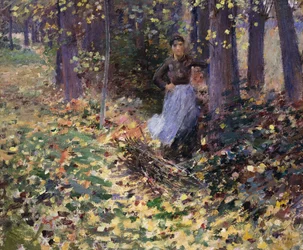 Autumn Sunlight