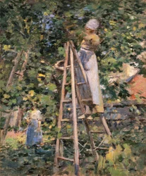 Gathering Plums