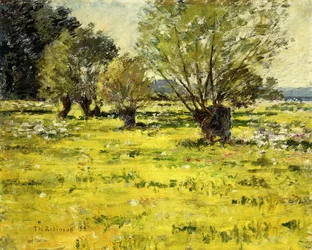 Springtime