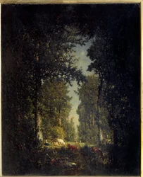 An avenue, Isle Adam forest