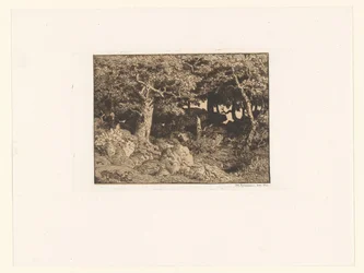 Oak Trees on Rocks