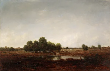Landscape with Marsh