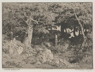 Oak Trees and Rocks