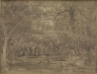 The Interior of a Forest