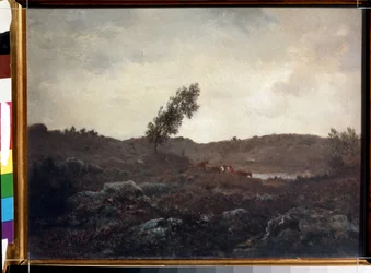 View of Barbizon