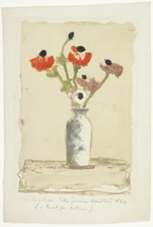 Anemones