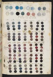 Page from the Mayerne manuscript (MS 2052 f.81r)