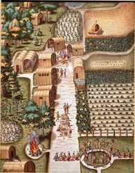 History of America: The Garden of the City of Secota in Virginia. Engraving from Admirante Narratio Americae by Theodore de Bry (1528-1598)