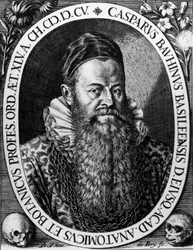 Portrait of Gaspard Bauhin