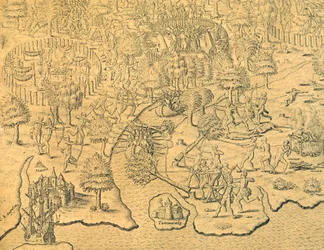 The Portuguese Push Towards the Interior and Are Attacked by a Local Tribe