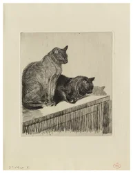 Two Cats on a Piece of Furniture