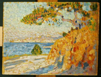 Countryside at Noon