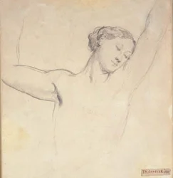 Female Model, Half Figure with Raised Arms