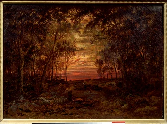 Sunset in the Forest