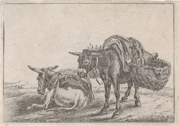 Two Mules