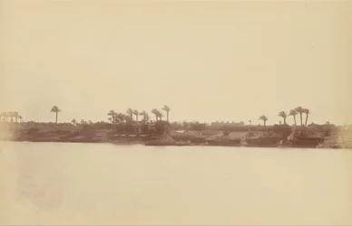Banks of the Nile with Palm Trees and Boats