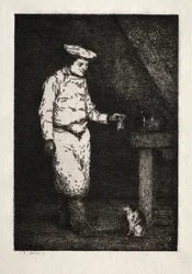 The Cat