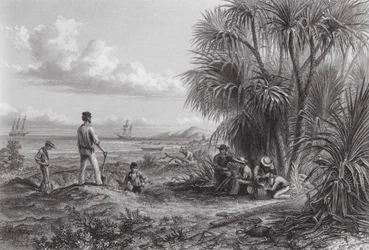 Australia: An Explorer