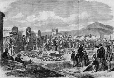Ivory and skins market in Grahamstown, Albania, Cape Colony