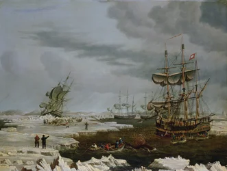 Hull Whalers in the Arctic