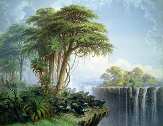 Unknown Image