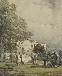 A Study of Cattle