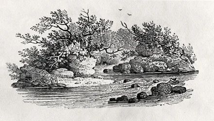A bend in the river, from 