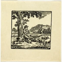 Book Illustration