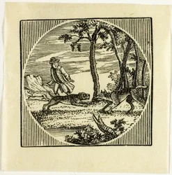 Book Illustration