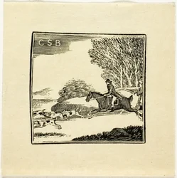 Book Illustration