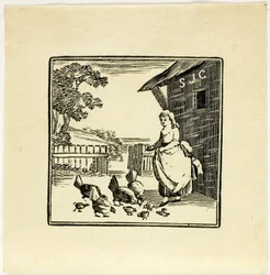 Book Illustration
