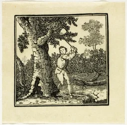 Book Illustration