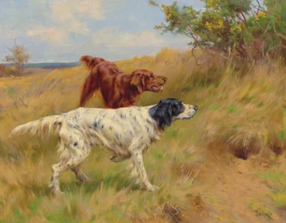 Setters
