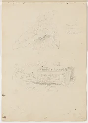 Plant in the Colosseum; Architectural Fragment